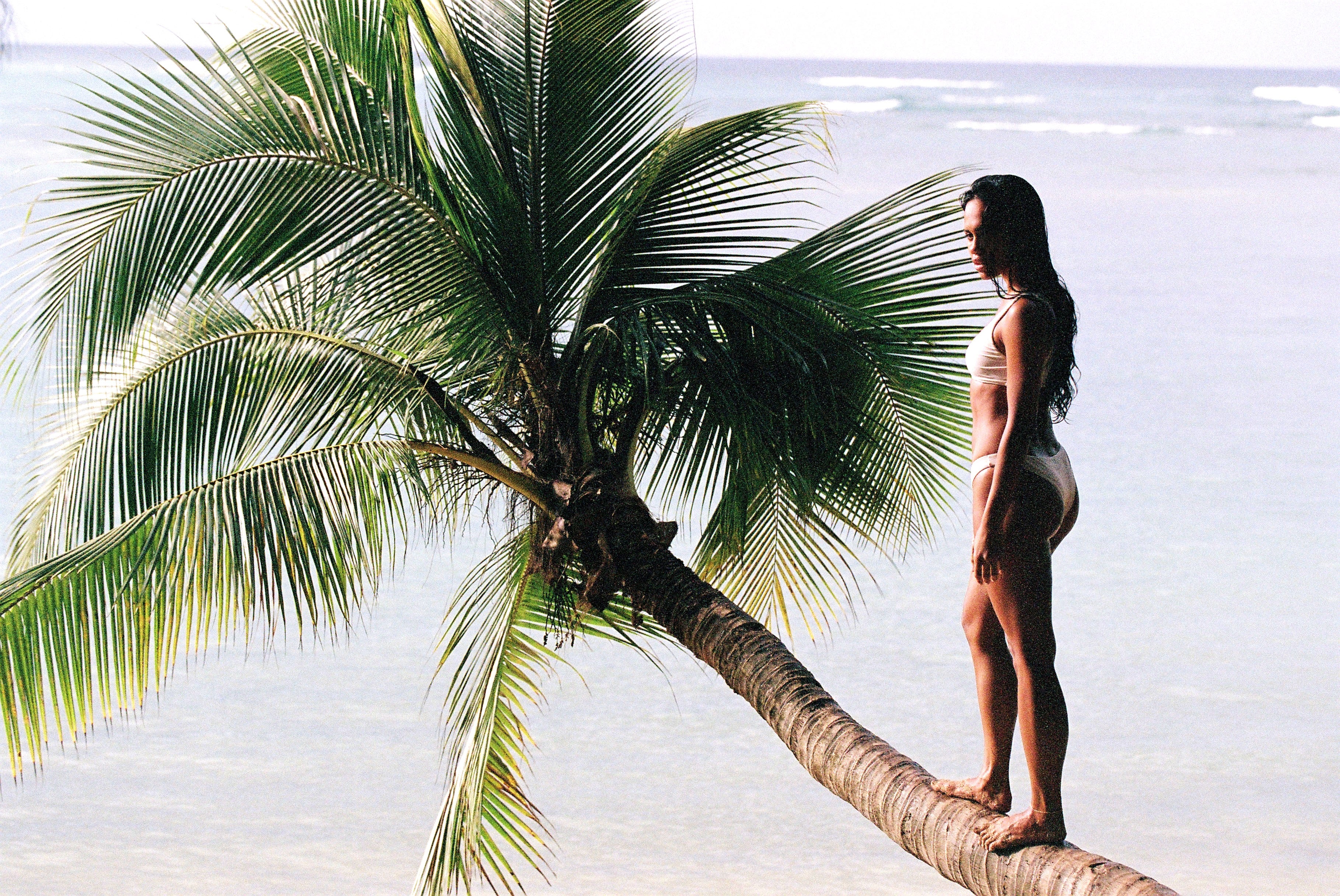 Women in white bikini walking on a palm tree in a beach in Hawaii